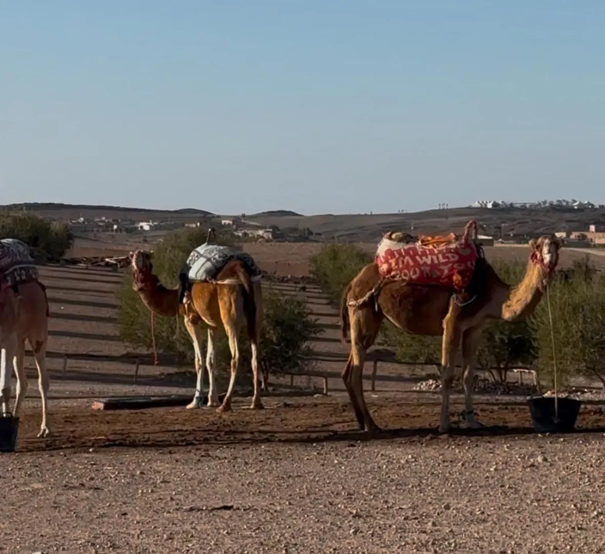 Luksustelt Agafay Valley Marrakesh Marokko
